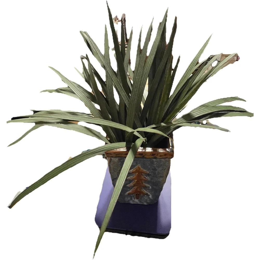 Blue Pottery Vase with Faux Grass Decor from Napa Valley